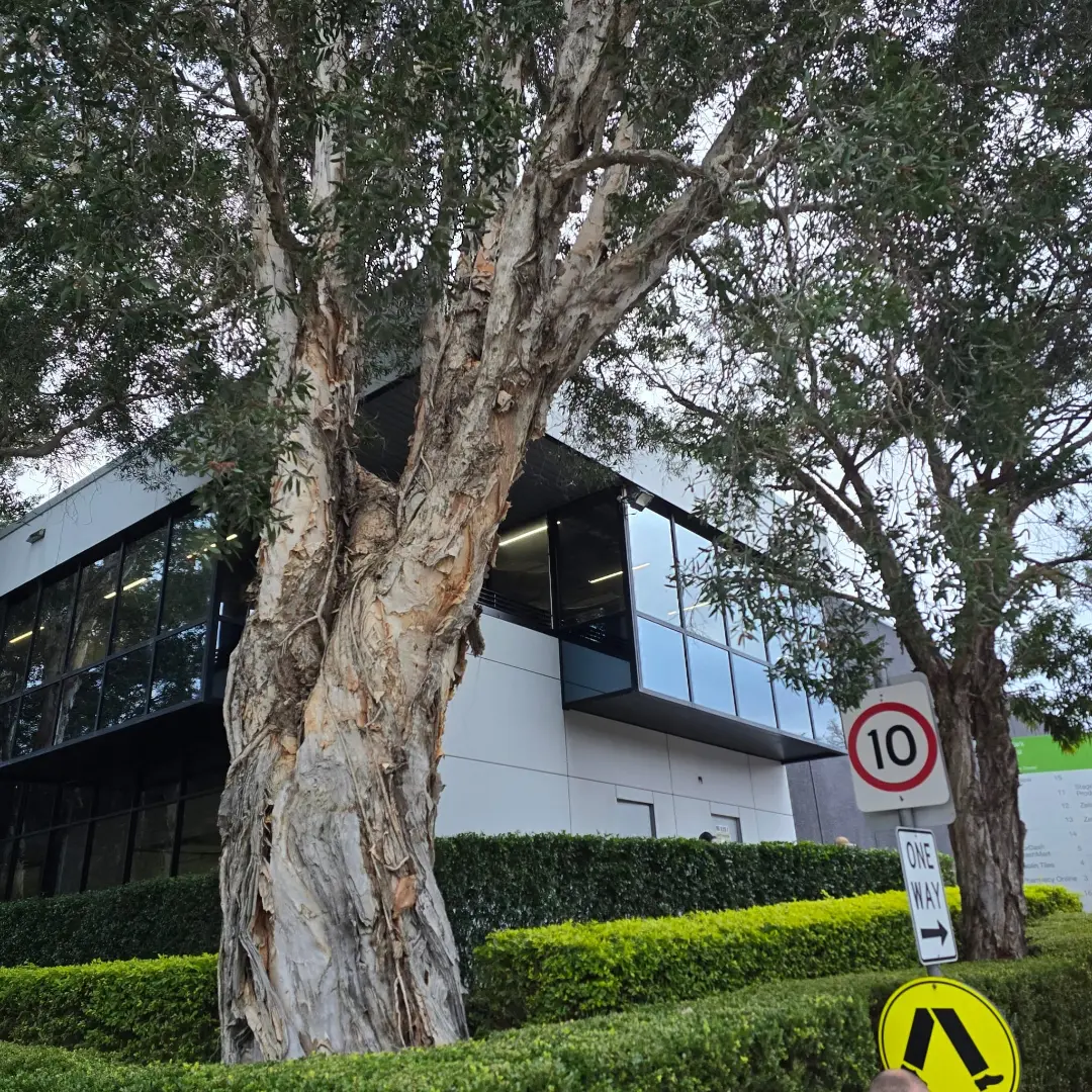 Alexandria, NSW — With DCA Builders · Façade access solution