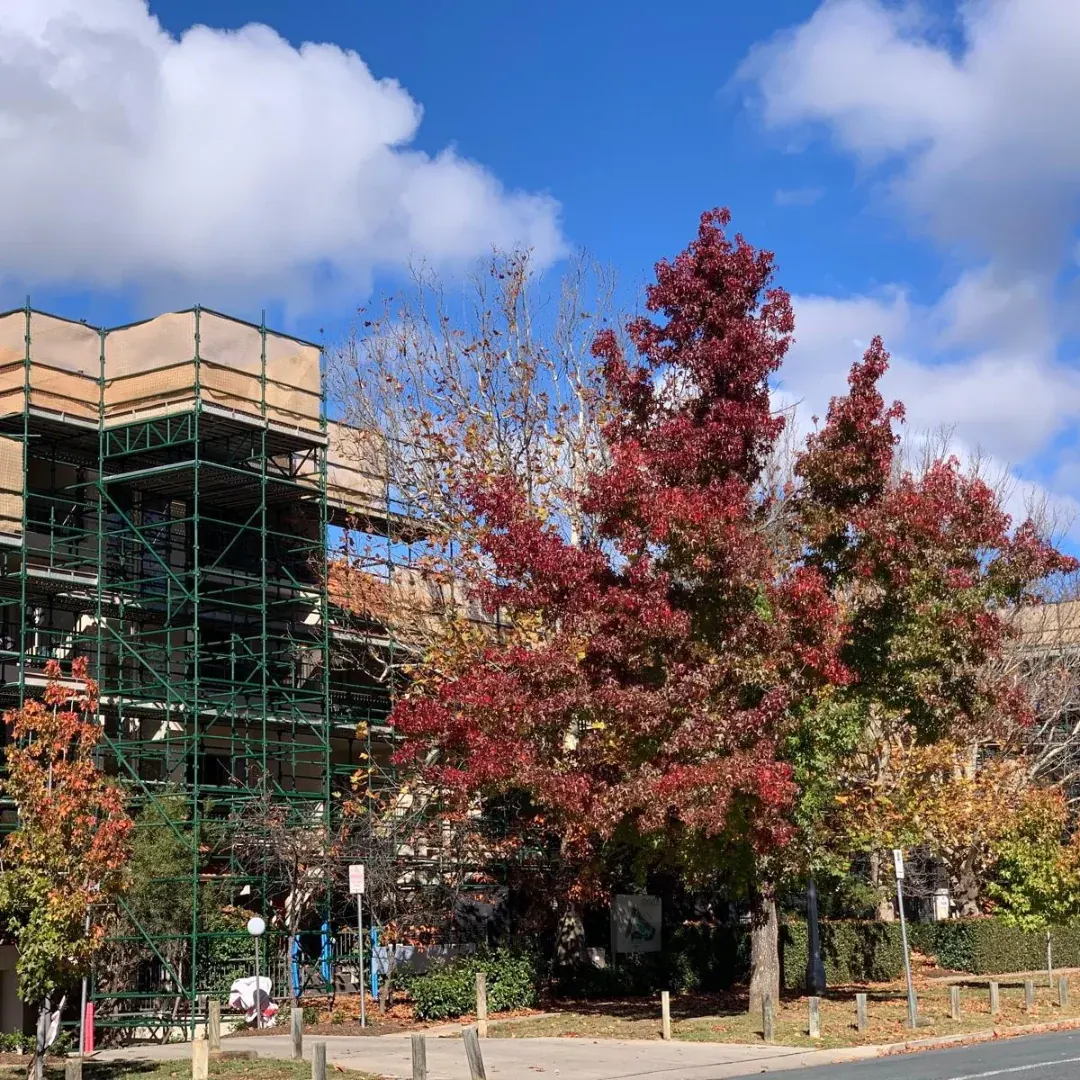 Temporary hoarding on a hail-damaged roof replacement project in Canberra