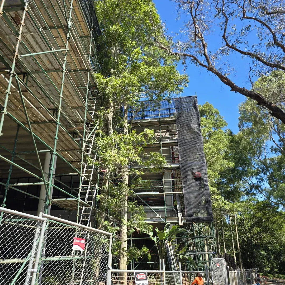 TAFE Ryde — "Engineered. Approved. Delivered." · Engineered scaffold package